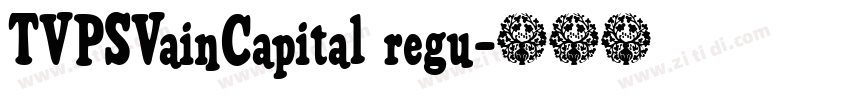 TVPSVainCapital regu字体转换